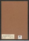 Auliscus schmidtii Gründler (de-Toni-Nr.: Genus 171, Species 4382) Zeichnungen Sammlung Grunow Mappe 04332 (Herbarium_W_Grunow_drawings_Folder_04332)